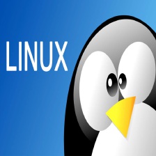 初识Linux_埃尼阿克-CSDN博客
