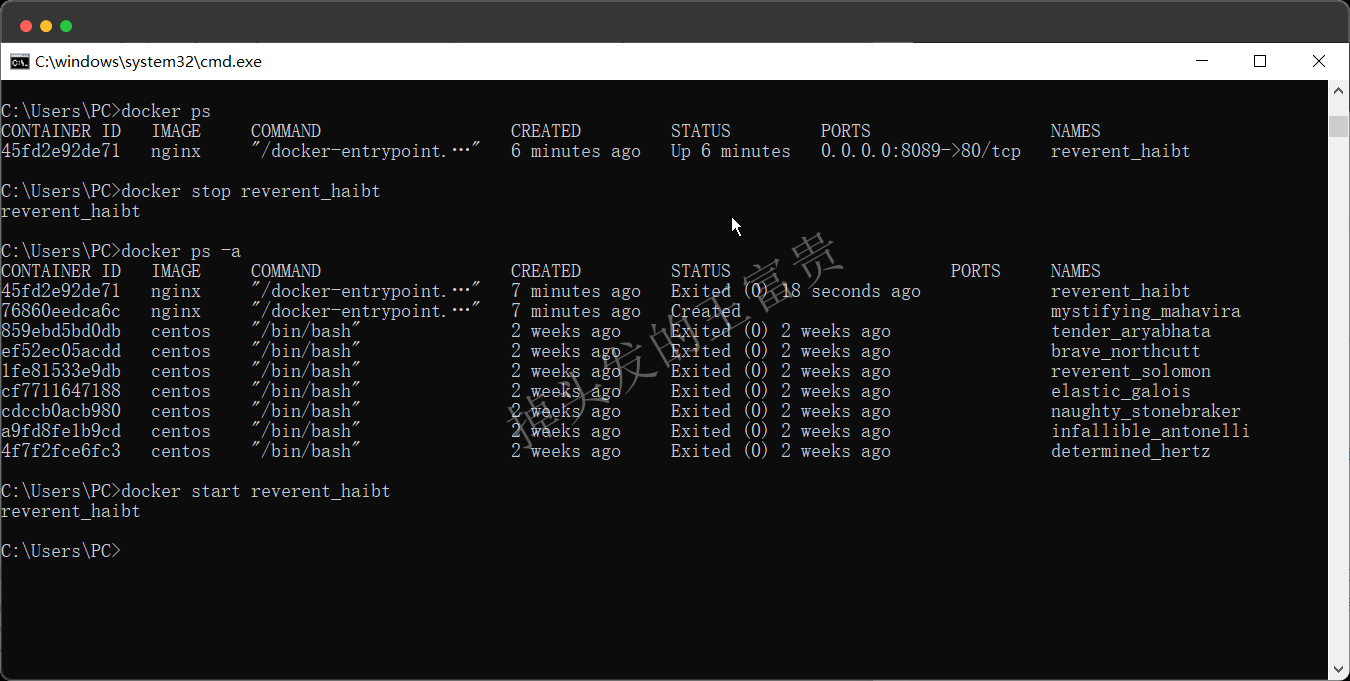 image-20240815195944080