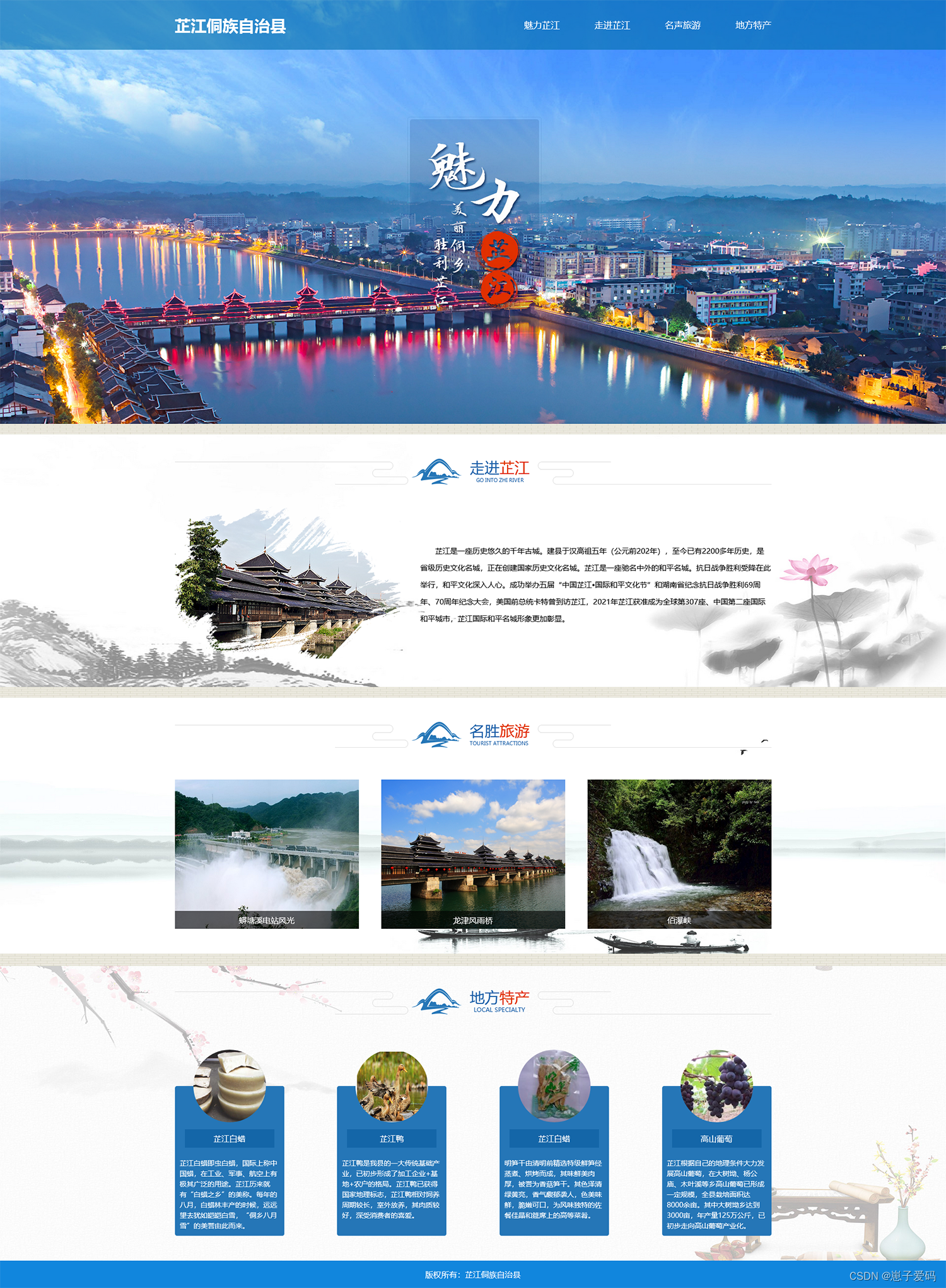 网站建设情况怎么写(网站建设步骤与工作进度)