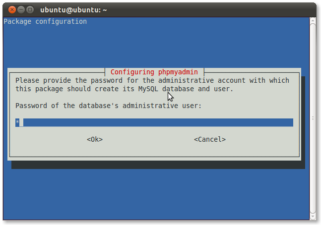 17 enter mysql root password