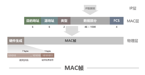 mac帧格式