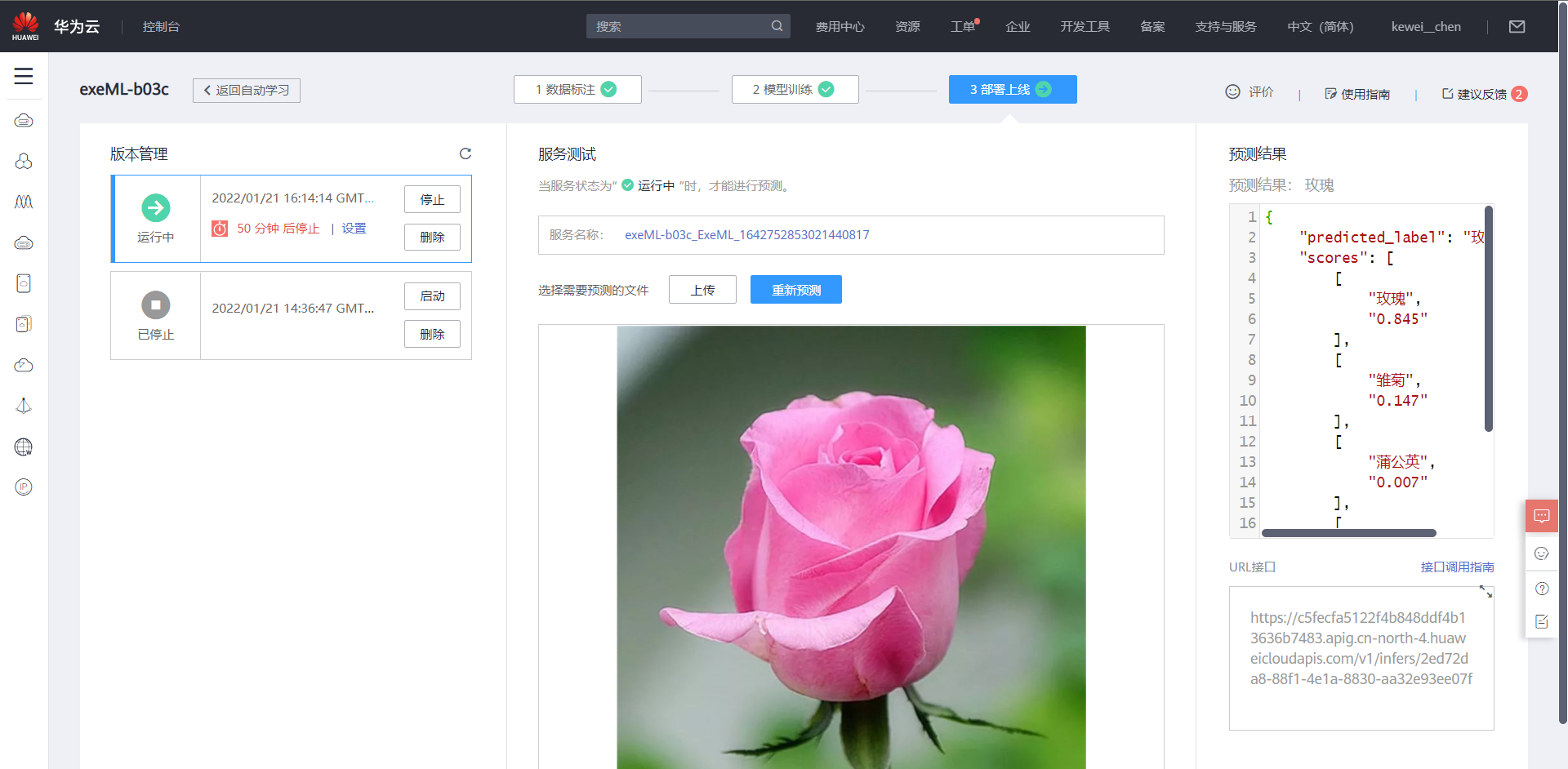 image-20220121162519295