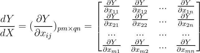 \frac{dY}{dX}=(\frac{\partial Y}{\partial x_{ij}})_{pm\times qn}=\begin{bmatrix} \frac{\partial Y}{\partial x_{11}} &\frac{\partial Y}{\partial x_{12}} &... &\frac{\partial Y}{\partial x_{1n}} \\ \frac{\partial Y}{\partial x_{21}} &\frac{\partial Y}{\partial x_{22}} &... &\frac{\partial Y}{\partial x_{2n}} \\ ... &... &... &... \\ \frac{\partial Y}{\partial x_{m1}} &\frac{\partial Y}{\partial x_{m2}} &... &\frac{\partial Y}{\partial x_{mn}} \end{bmatrix}