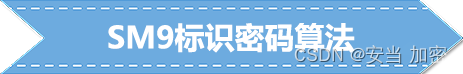 一分钟学习数据安全——国密算法科普