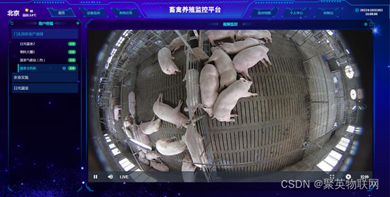 智慧养殖系统