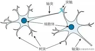 AI热潮席卷而来，零门槛理解什么是大模型