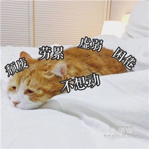 341c5719c6220bd198f548d6238f0a7d.png