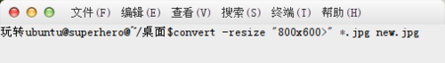ubuntu14.04批量处理图片命令