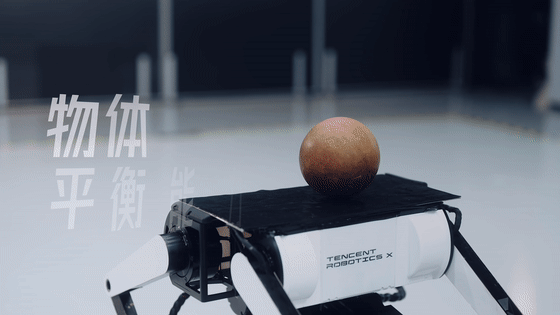 319b256686e659cc5c96167f5e788d9b.gif