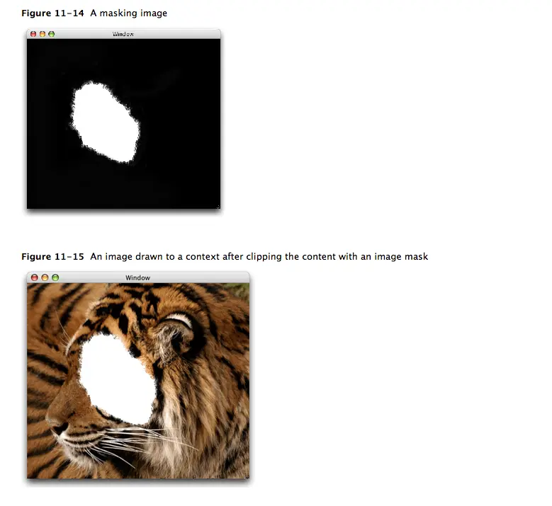 9052647-40621d0fff9e2e19.png
