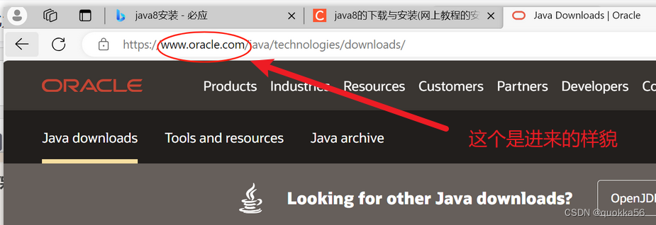 官方网站的样式