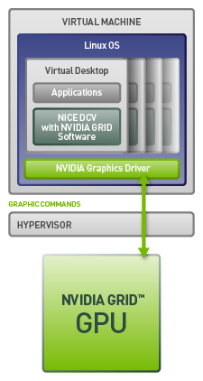 配有 NICE DCV 的 GPU Pass Through 功能