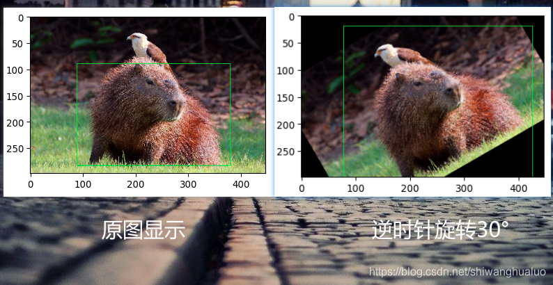 imgaug旋转对比图
