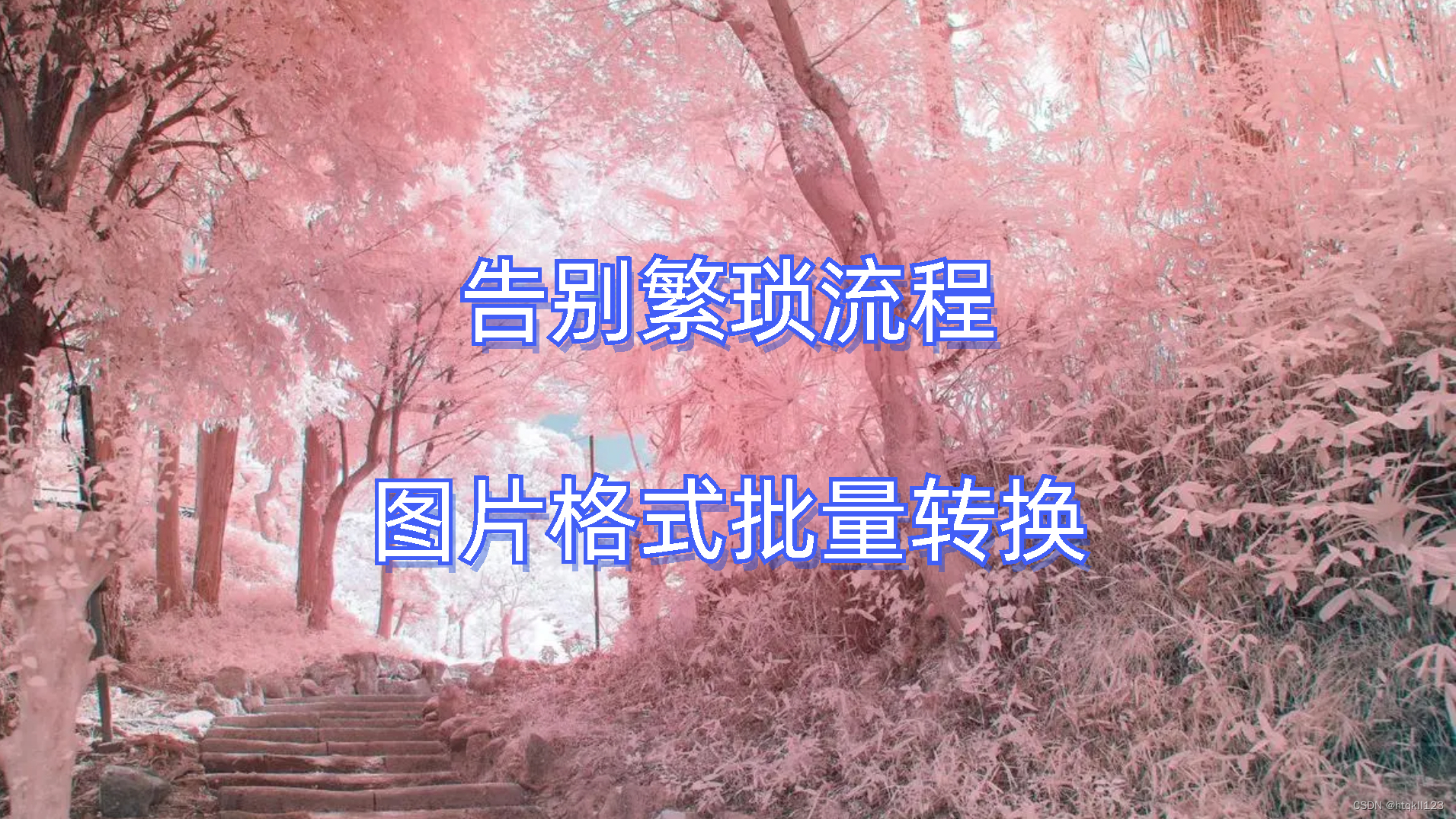 告别繁琐流程,图片格式批量转换!-CSDN博客