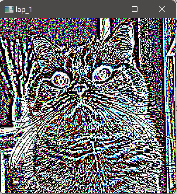 image-20220213204728976