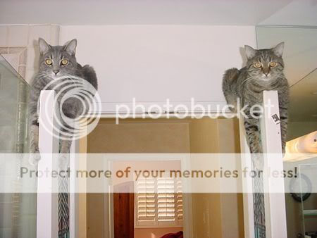 点击在新窗口中查看该图片