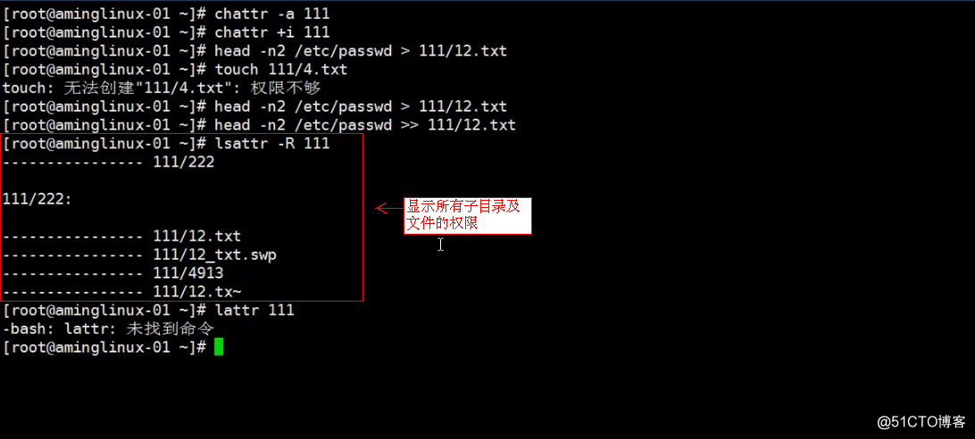 文件和目录权限chmod更改所有者和所属组chown umask 隐藏权限lsattr/chattr