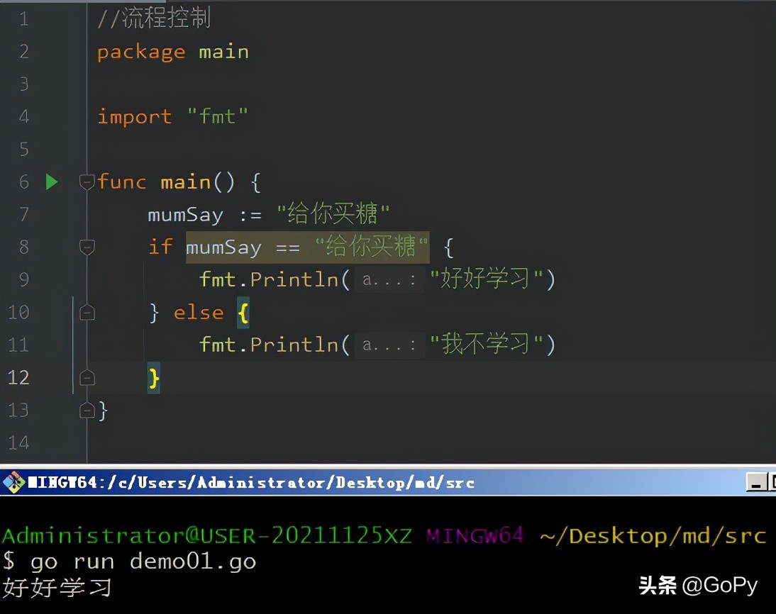 Go语言编程从入门到精通，流程控制，if语句