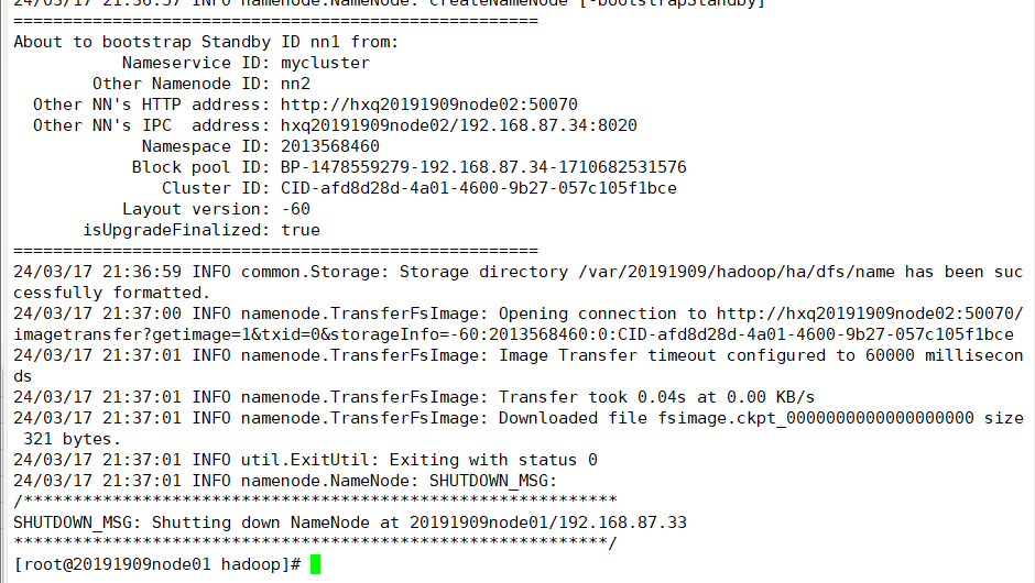 image-20240320091513929