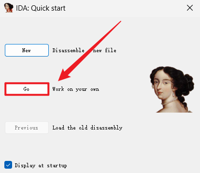 【反编译系列】一、反编译 .so 文件（IDA Pro）