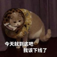 667ae8e7a07fc87cded40f45a1b29418.png