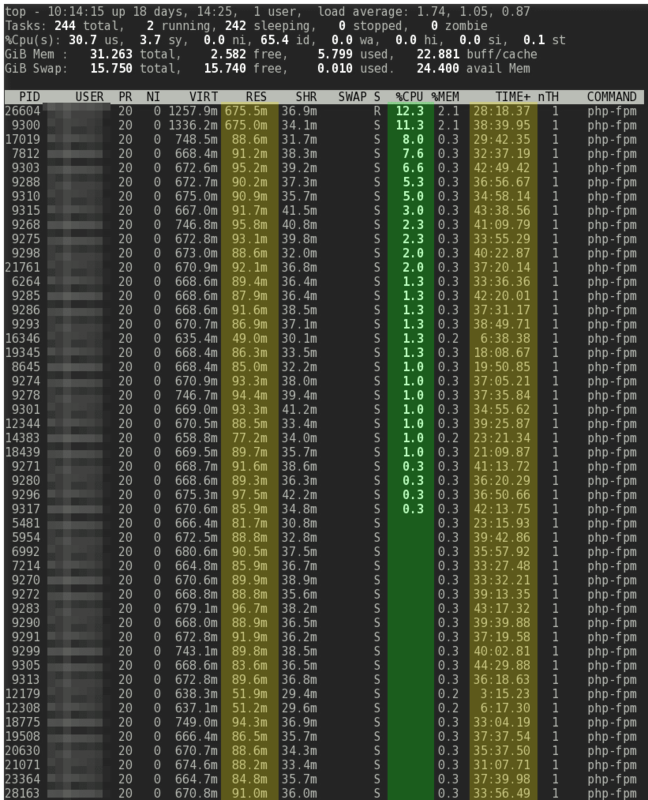 1509365223linux_top_php-fpm-using-static-pm