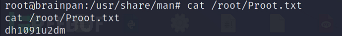 image-5.png