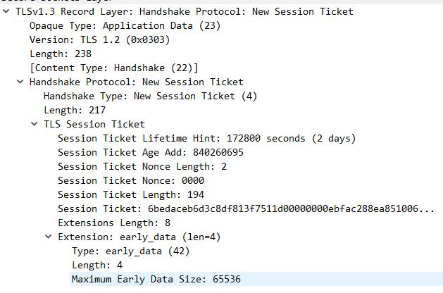 New Session Ticket