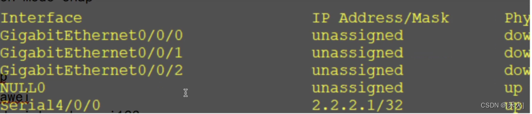 网络类型及数据链路层协议
