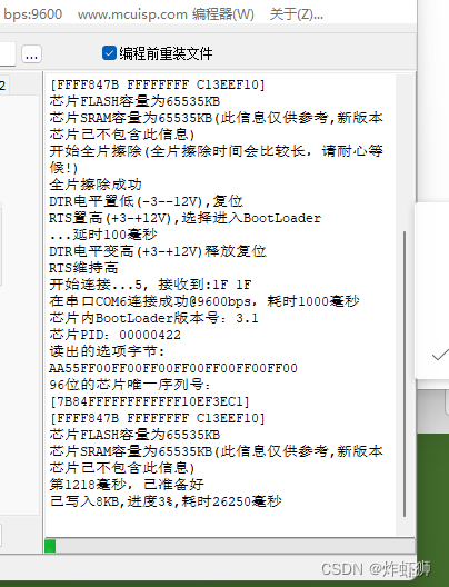 绿色进度条走完，烧录成功