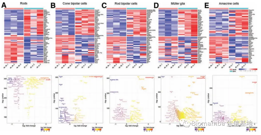 酸了，六个样本的scRNA-Seq+差异分析=9分文章_多样本scrna分析-CSDN博客
