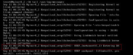nginx+keepalived主备切换（不考虑主nginx停掉现象）