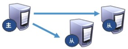 image-20211216114153686