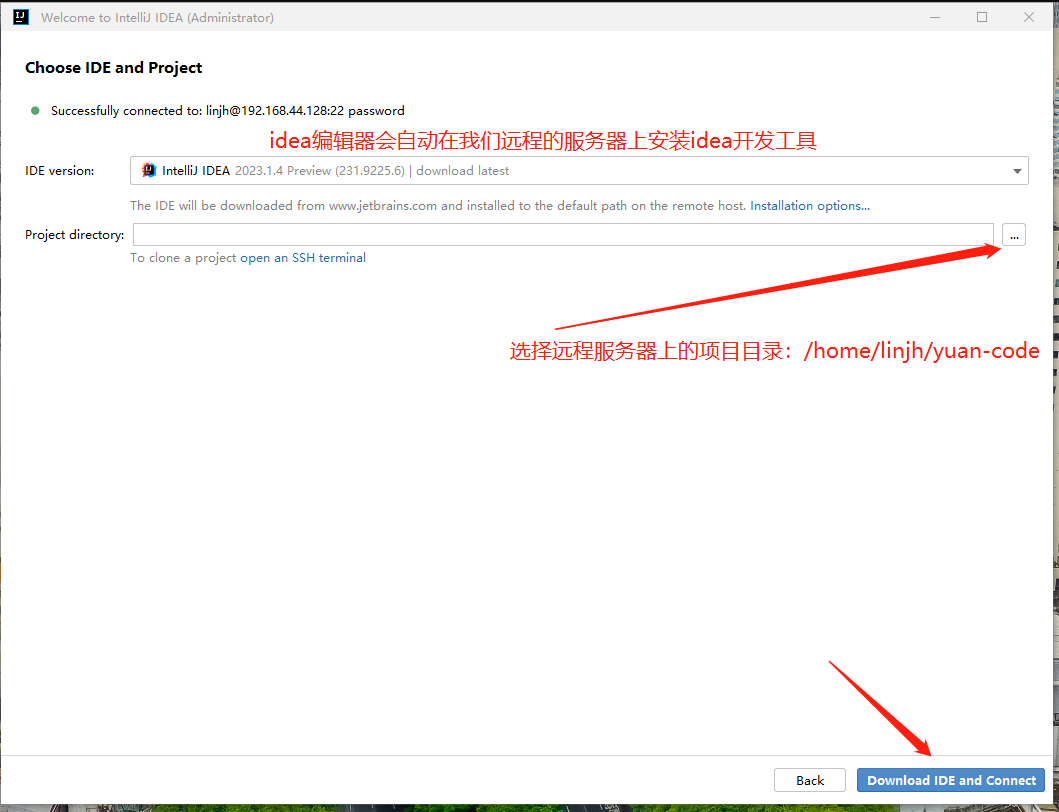 image-20230817110318147