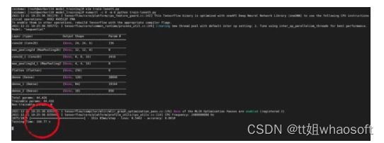 OpenVINO相关_指令集_05