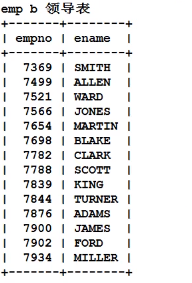 image-20220207172102635