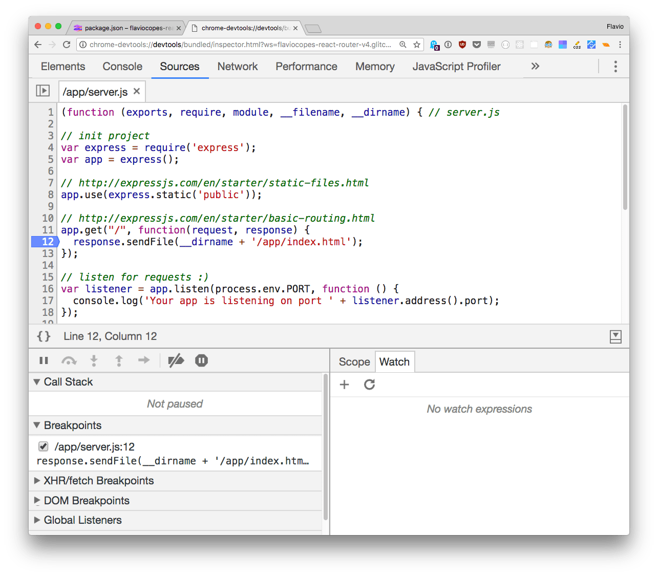 The debugger