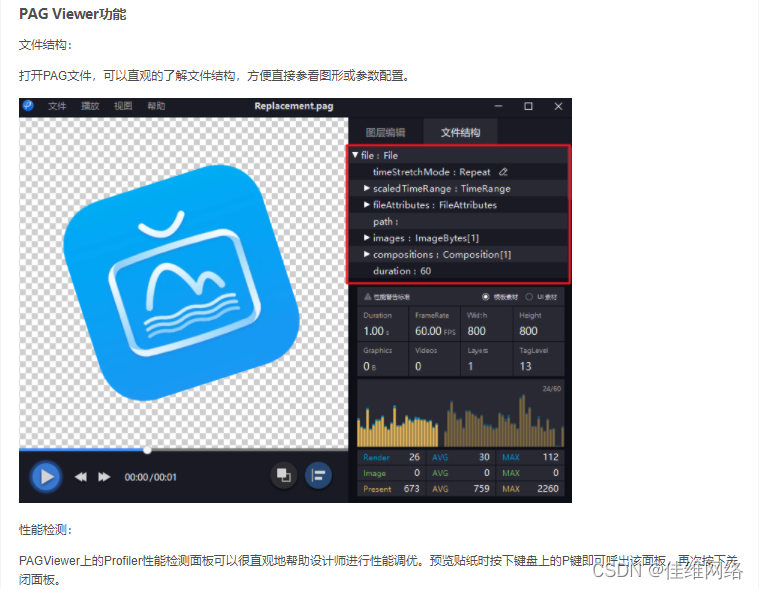 Pag格式