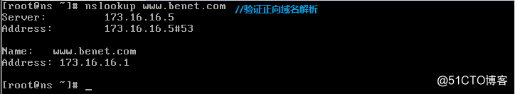 DNS域名解析服务