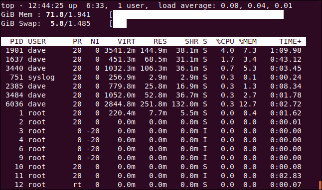 top showing ASCII block graphs for the memory statistics, in a terminal window.