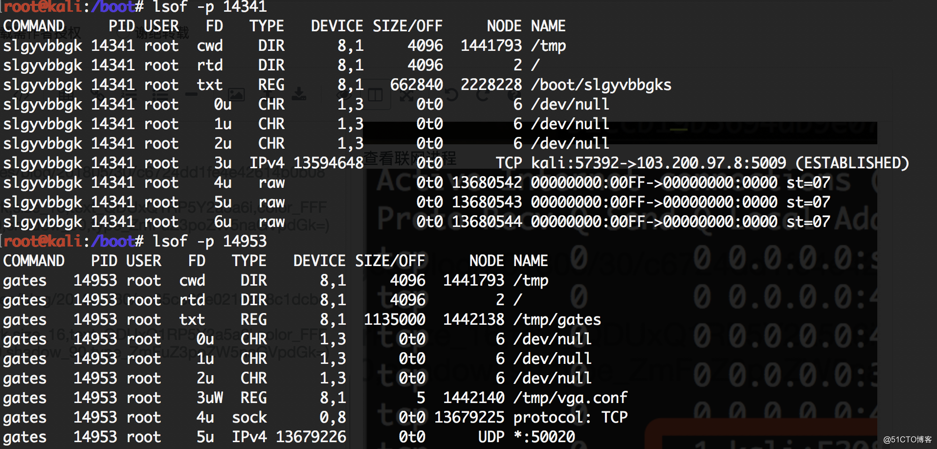 linux应急取证学习（更新中）