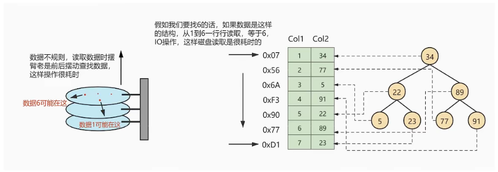 image-20220313113723721