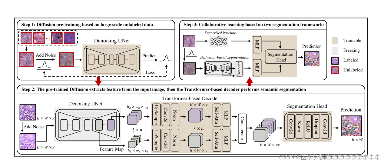 SEMI-SUPERVISED SEMANTIC SEGMENTATION OF CELL NUCLEIVIA DIFFUSION-BASED ...
