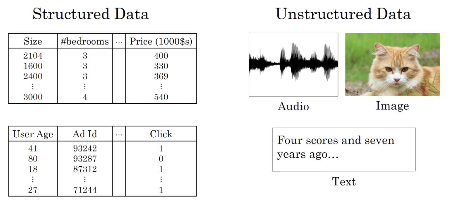 image-20220322125543618