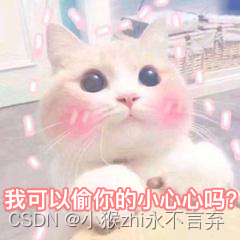 239be81747924aa398777895c5c8a816.jpeg