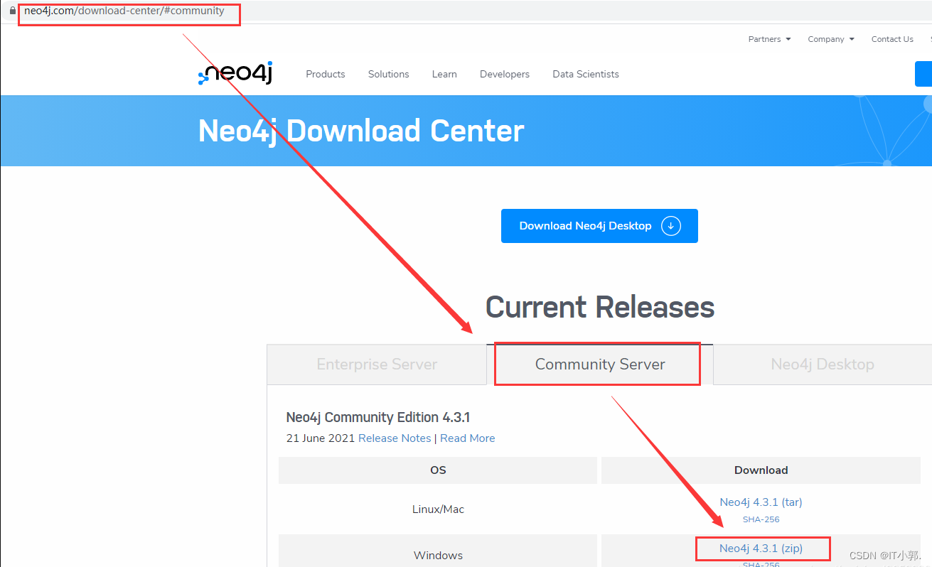 Noe4J 超级详细的安装与使用_jdk17和什么版本的neo4j配套-CSDN博客