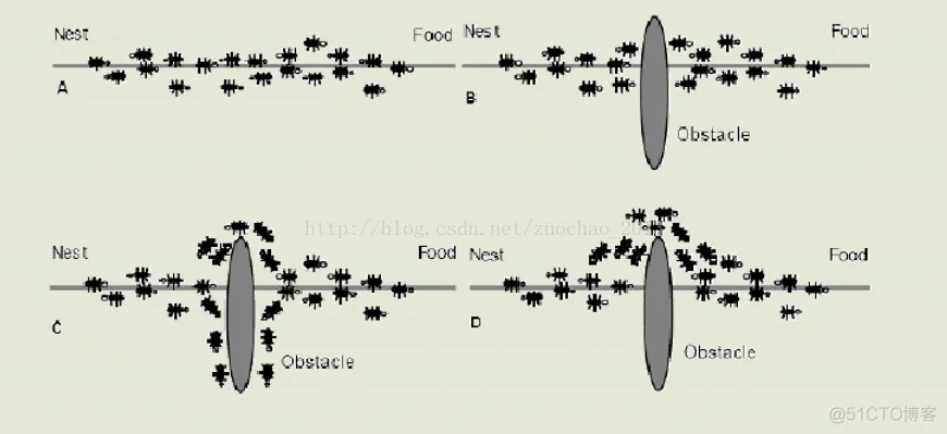【VRPD问题】基于蚁群算法求解运钞车运输问题VRPD_matlab