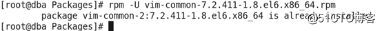 blob.png