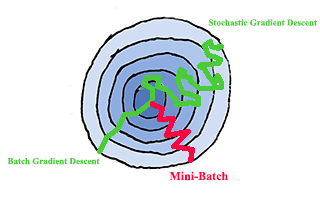 不同的batch的训练进程
