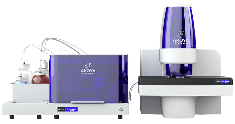Codex Machine 先睹为快!2024 AACR年会:PhenoCycler-Fusion空间单细胞蛋白组学(简称PCF,原CODEX)应用案例集锦_xenium ...